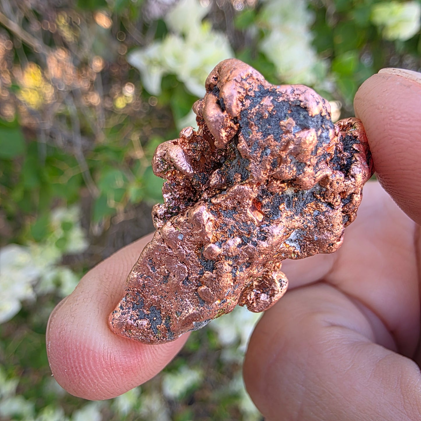Shiny Michigan Copper - Rock Specimen from the Keweenaw Peninsula