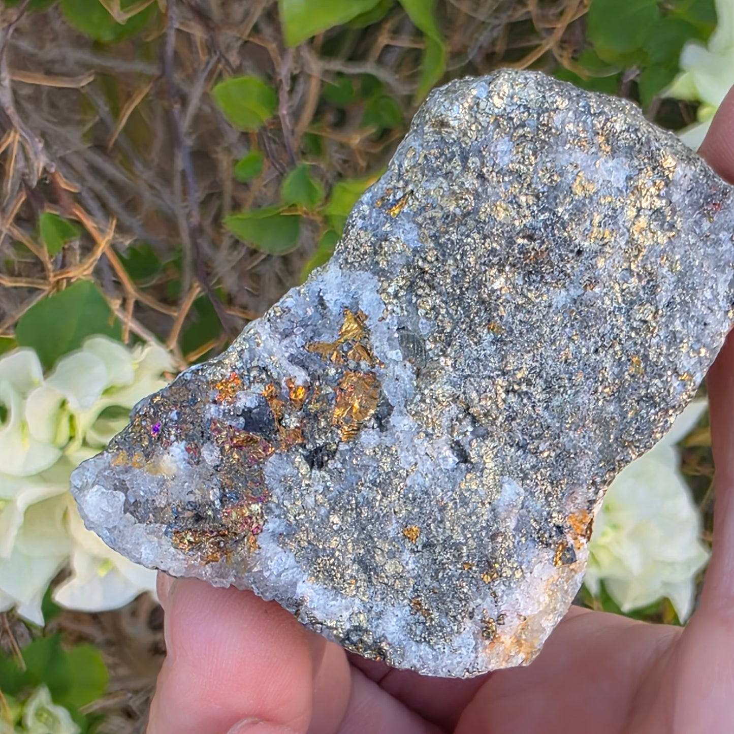Rough Pyrite and Chalcopyrite on Quartz Rock Specimen from Morocco | Sparkly Fool's Gold