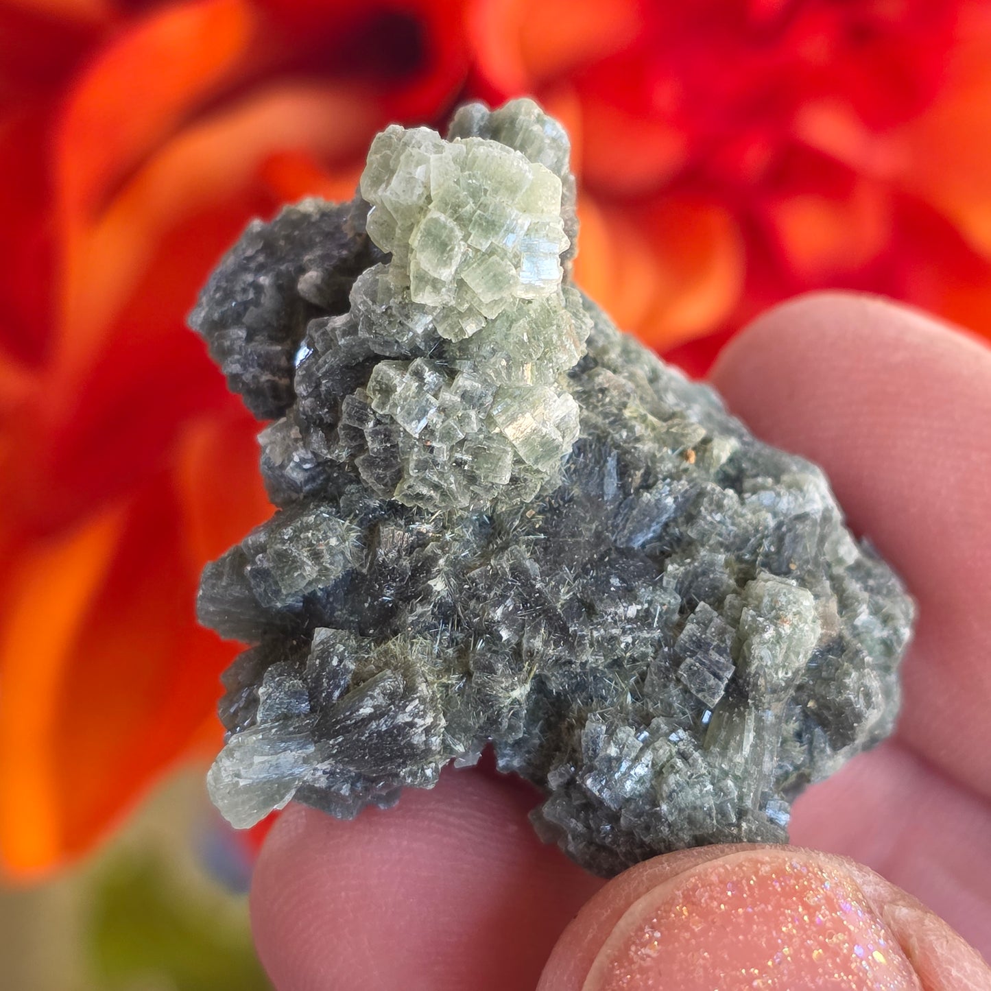 Prehnite Rock Specimen | Green Crystals | Natural Mineral from Morocco, Imilchil Region | Geology Gift