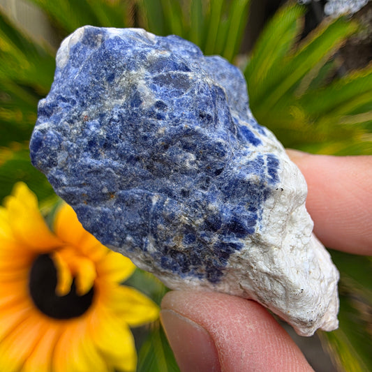 Sodalite Rock Specimen | Raw Natural Mineral | 42.85 g