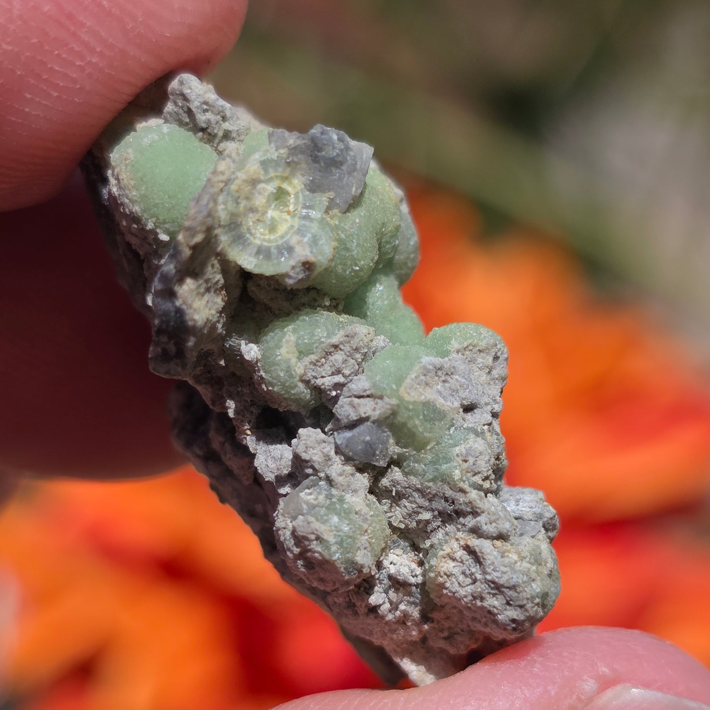 Green Wavellite Rock Specimen | Mt. Ida, Arkansas | Raw Stone