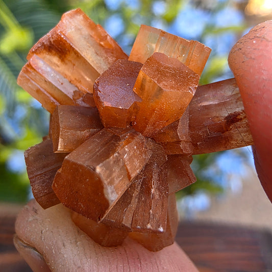 Aragonite Cluster Rock Specimen | Raw Natural Crystal Mineral | 11.72 g