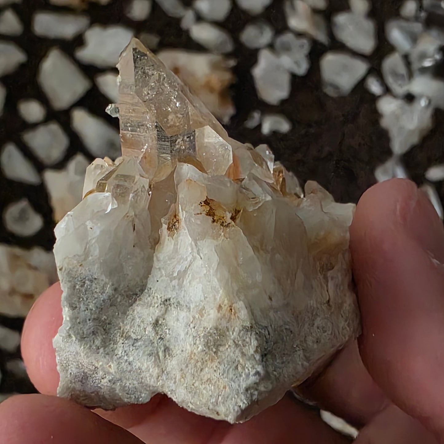 Gorgeous Natural Clear Quartz Crystal Cluster from Mt. Ida, Arkansas | Raw Mineral Specimen | 61.49 grams