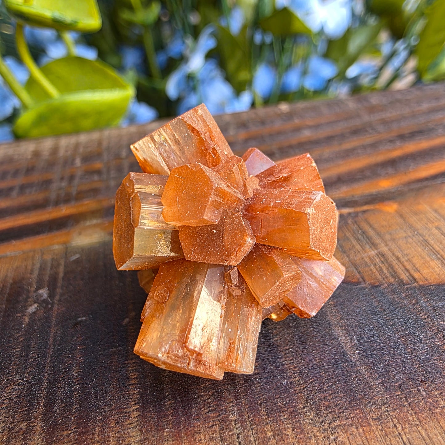 Aragonite Cluster Rock Specimen | Raw Natural Crystal Mineral | 11.72 g