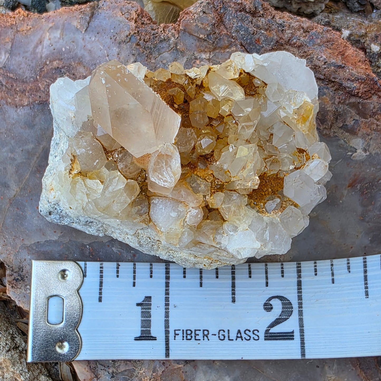Gorgeous Natural Clear Quartz Crystal Cluster from Mt. Ida, Arkansas | Raw Mineral Specimen | 61.49 grams