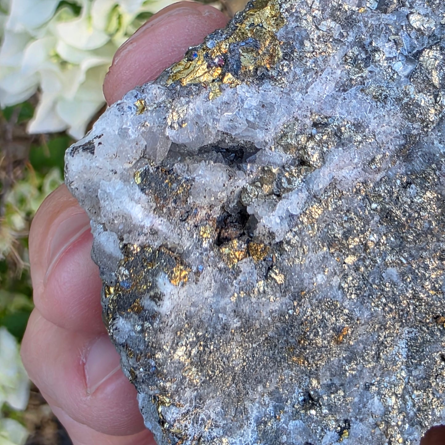 Rough Pyrite and Chalcopyrite on Quartz Rock Specimen from Morocco | Sparkly Fool's Gold
