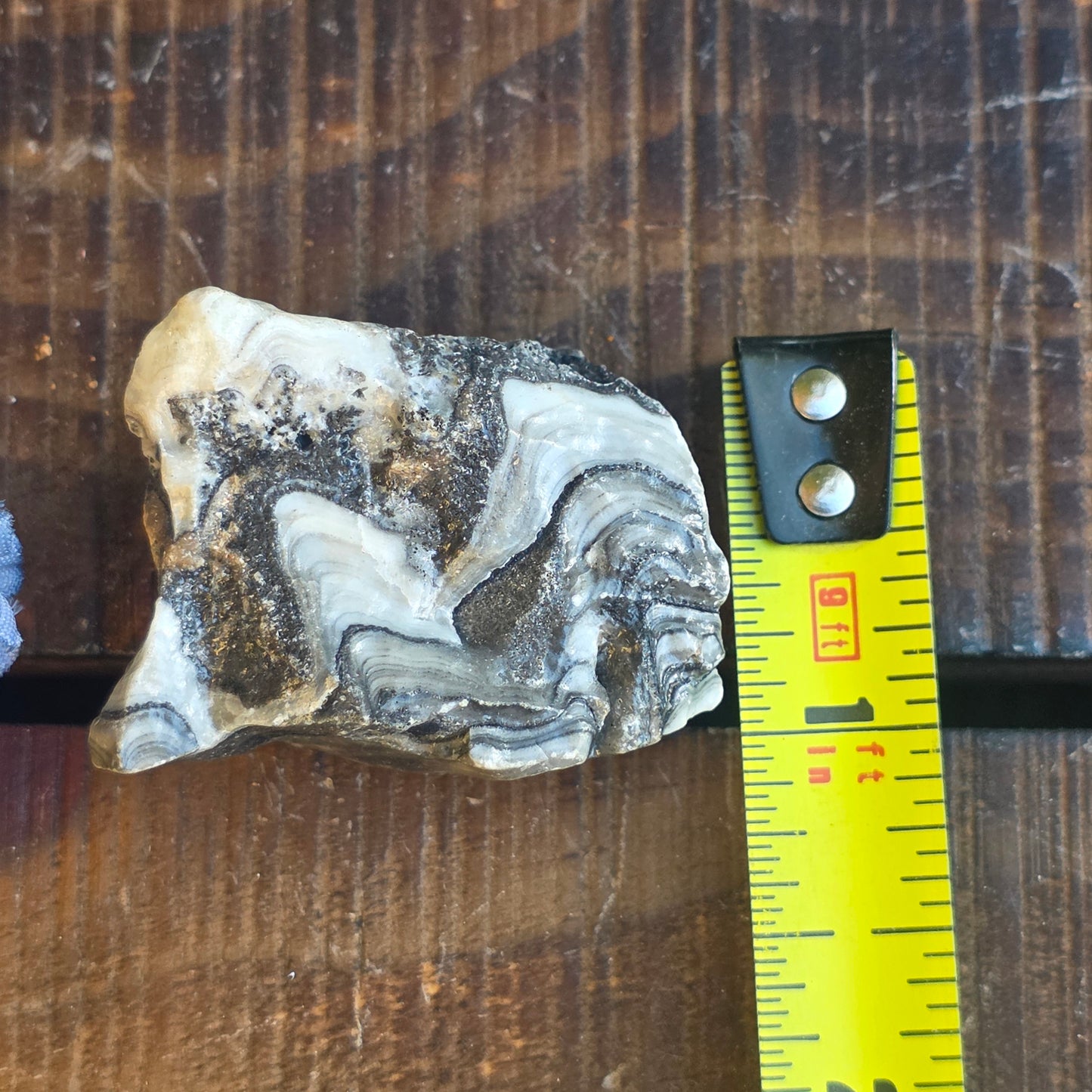 Zebra Calcite Rock Specimen | Natural Crystal Mineral | 27 Grams