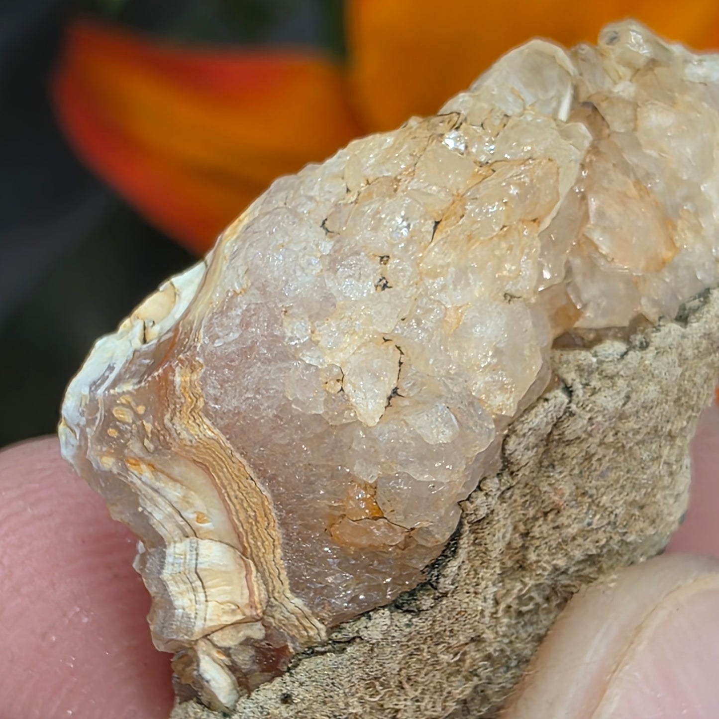 Agate with Quartz Crystal Specimen: Natural Mule Mountains, California Desert Rock (12.90 grams)