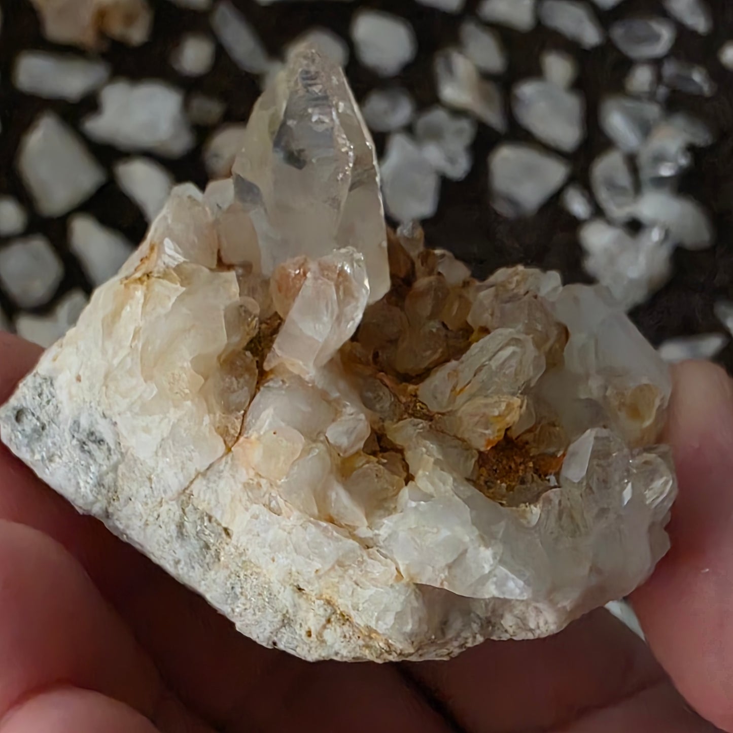 Gorgeous Natural Clear Quartz Crystal Cluster from Mt. Ida, Arkansas | Raw Mineral Specimen | 61.49 grams