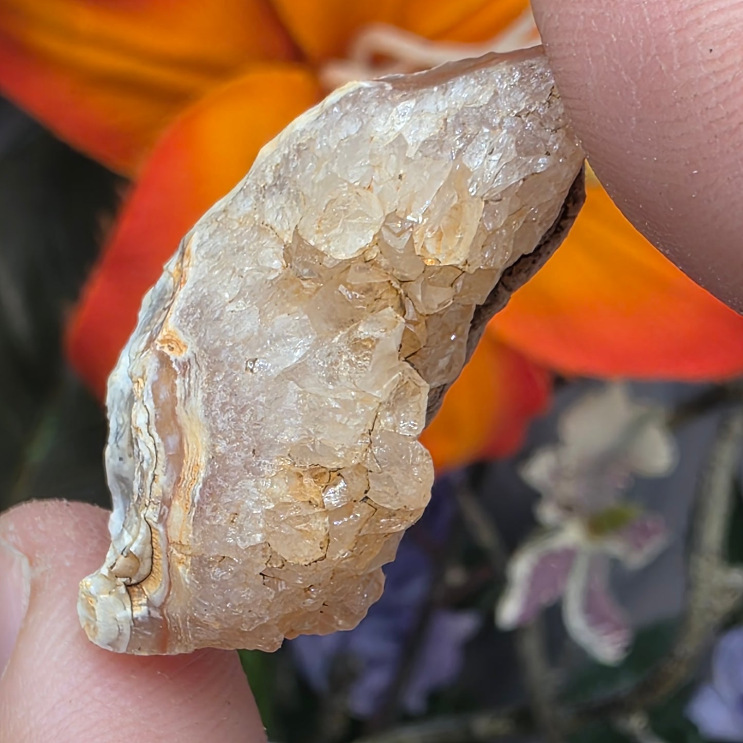 Agate with Quartz Crystal Specimen: Natural Mule Mountains, California Desert Rock (12.90 grams)