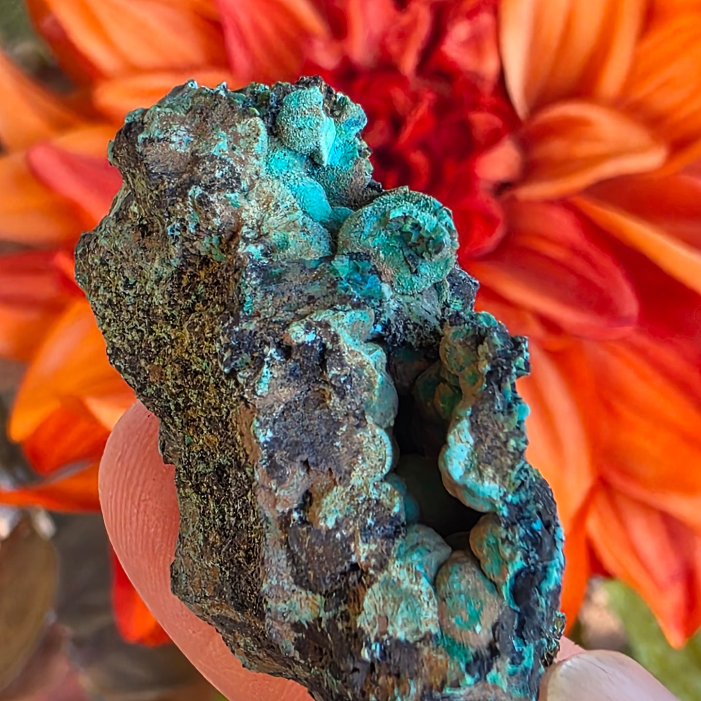 Chrysocolla Mineral Specimen, Copper Ore Rock, Planet Mine, Arizona, with Botryoidal Texture Feature