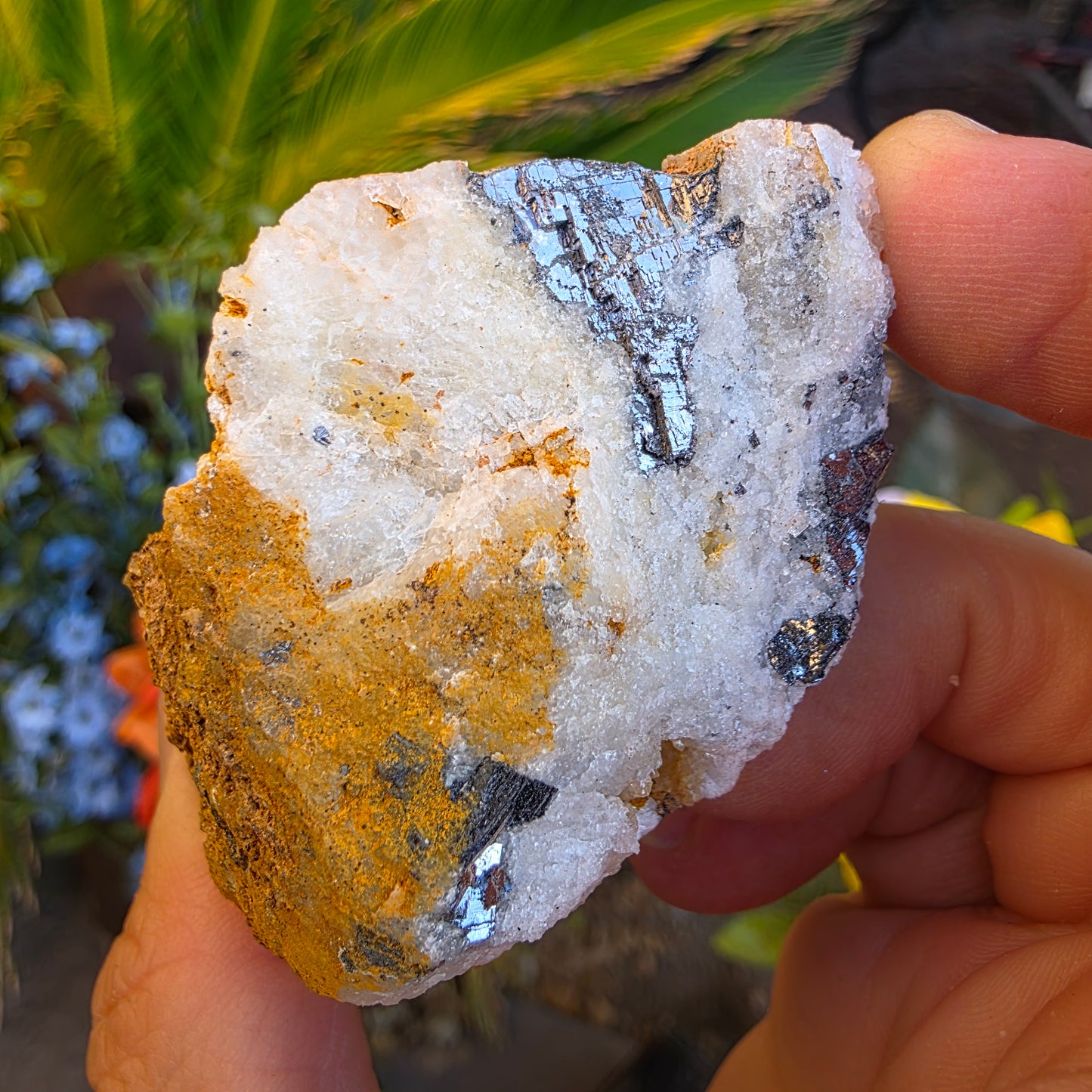 Galena on Quartz Matrix Rock Mineral Specimen from Morocco Raw Shiny Stone
