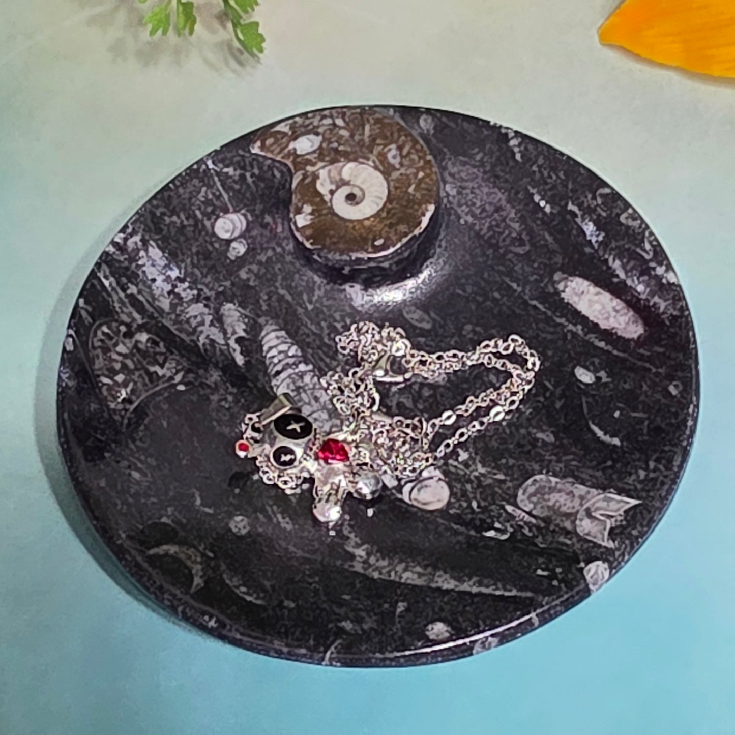 Polished Orthoceras and Ammonite Fossil Dish 4 Inch Black & White Stone Bowl
