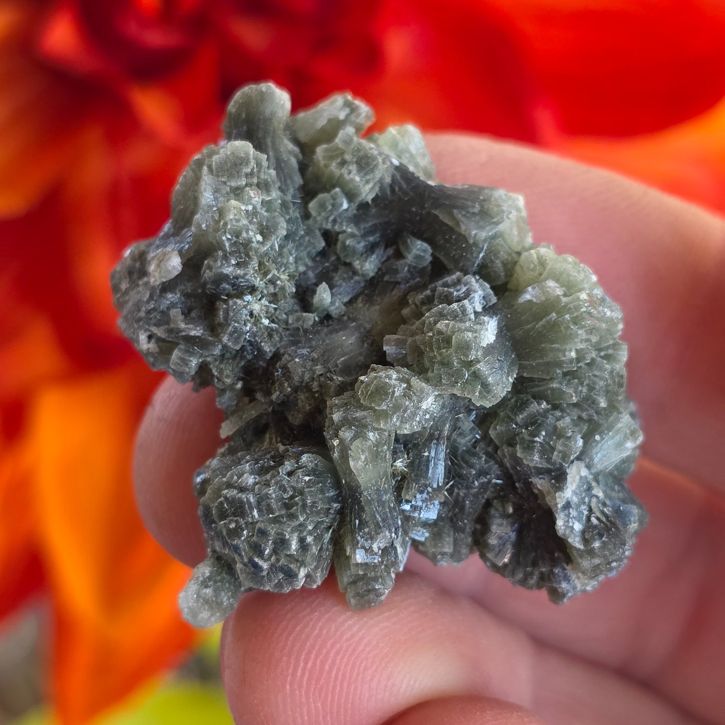 Prehnite Rock Specimen | Green Crystals | Natural Mineral from Morocco, Imilchil Region | Geology Gift