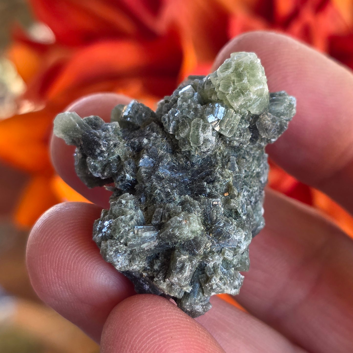 Prehnite Rock Specimen | Green Crystals | Natural Mineral from Morocco, Imilchil Region | Geology Gift