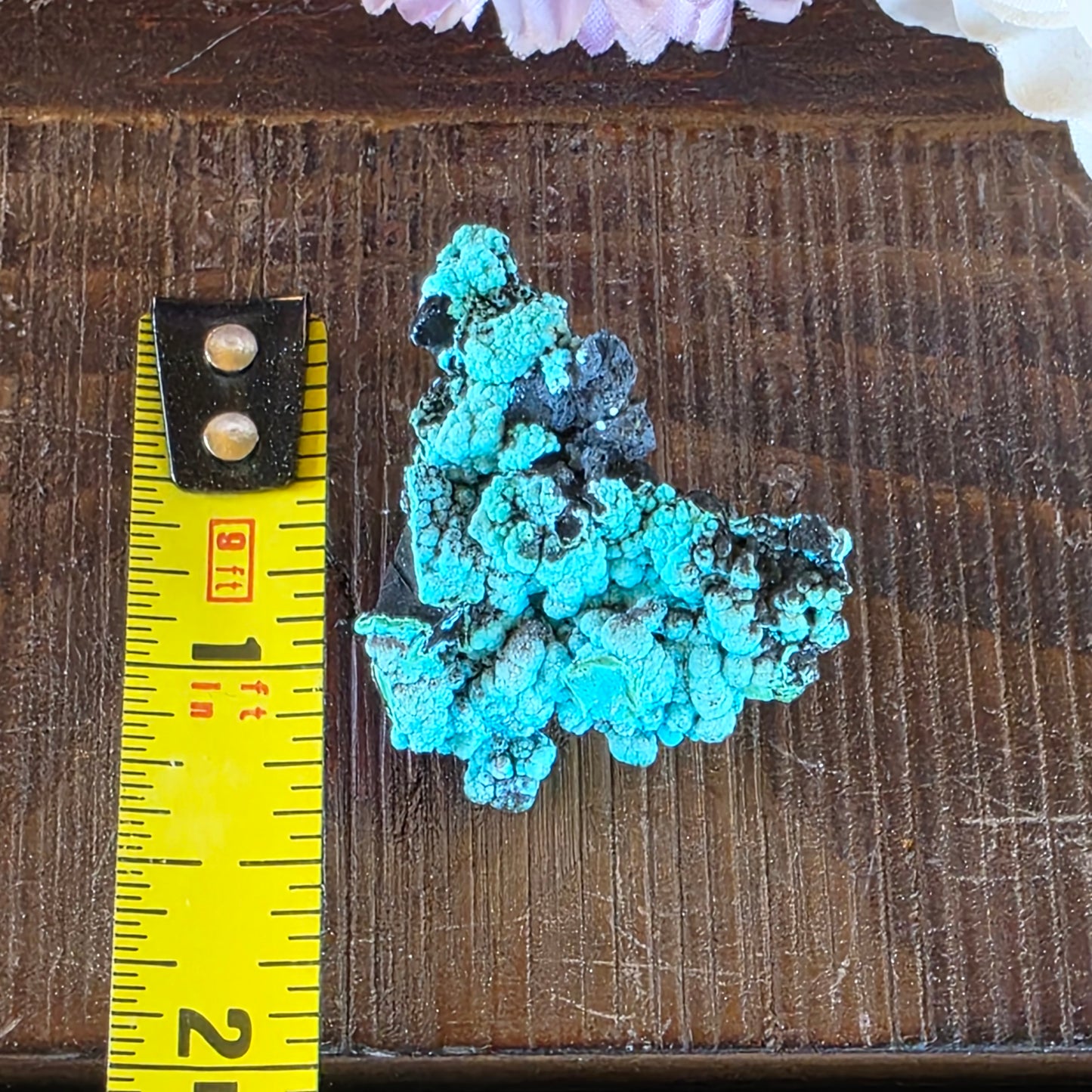 Chrysocolla Rock Specimen | Planet Mine, Arizona | Natural Raw Blue Color Stone | 5.12 g