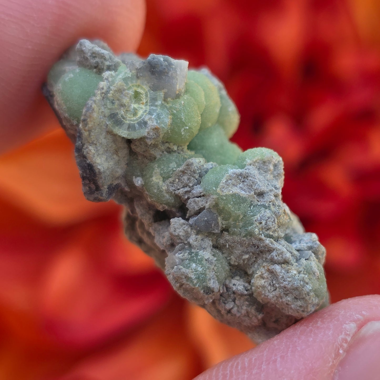 Green Wavellite Rock Specimen | Mt. Ida, Arkansas | Raw Stone