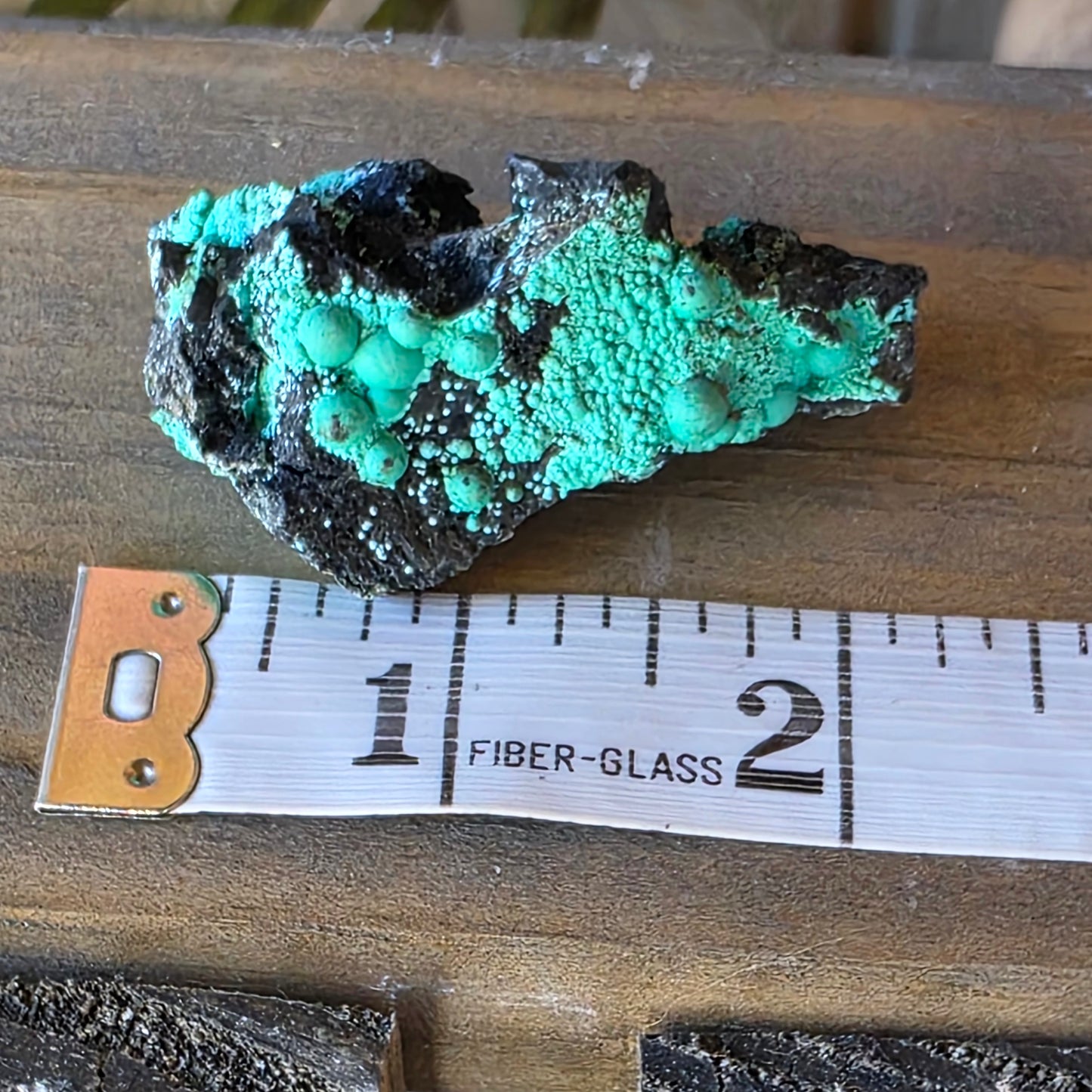 Beautiful Botryoidal Chrysocolla Copper Ore Rock Specimen | Planet Mine | Arizona | Natural Raw Stone