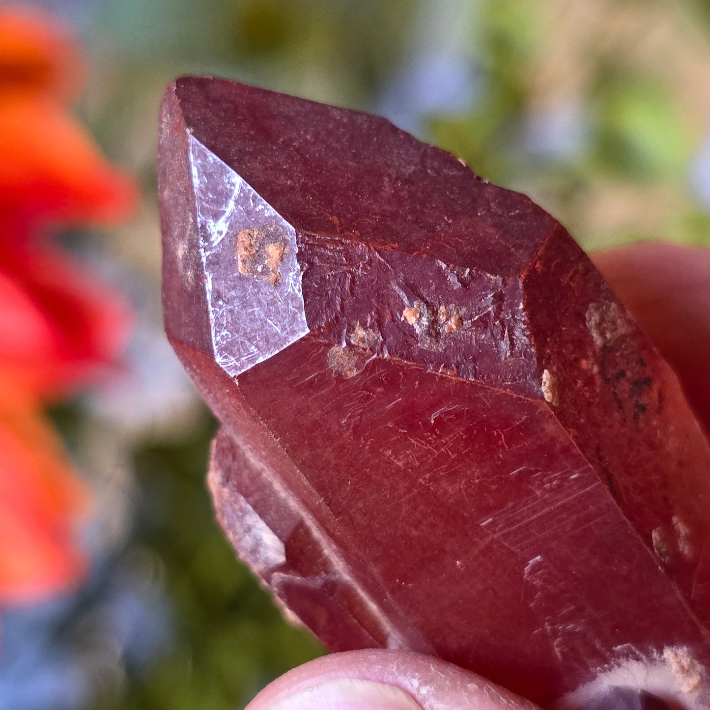Pointed Red Quartz Crystal Specimen from Morocco | Rough Mineral Sample | 29.37 grams