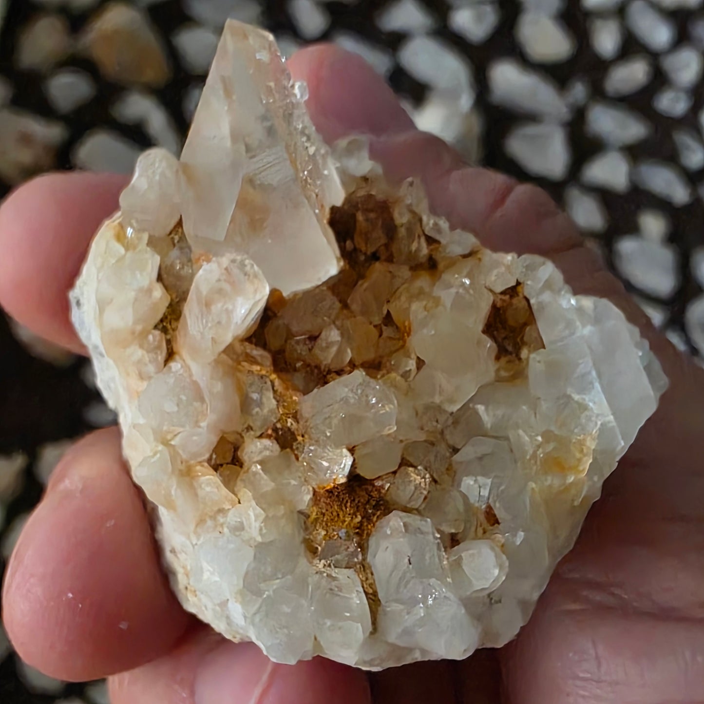 Gorgeous Natural Clear Quartz Crystal Cluster from Mt. Ida, Arkansas | Raw Mineral Specimen | 61.49 grams