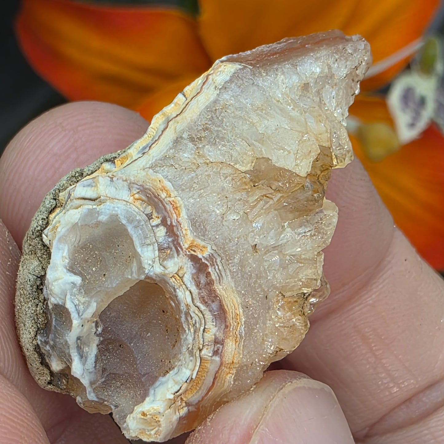 Agate with Quartz Crystal Specimen: Natural Mule Mountains, California Desert Rock (12.90 grams)