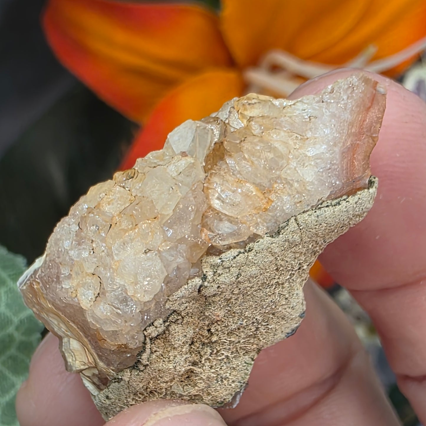 Agate with Quartz Crystal Specimen: Natural Mule Mountains, California Desert Rock (12.90 grams)