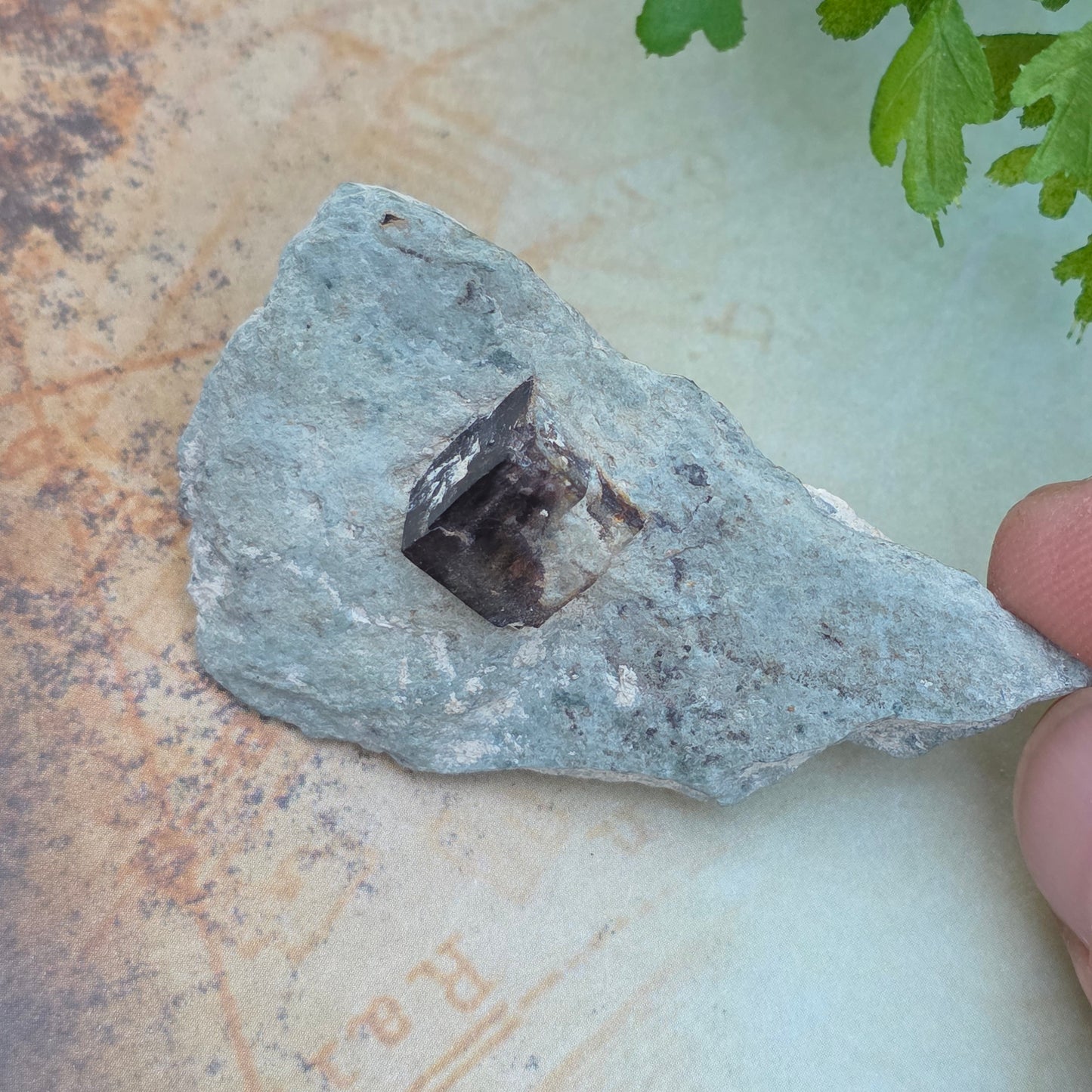 Limonite after Pyrite Cube on Matrix from the Harquahala Mountains, Arizona | Pseudomorph Rock Specimen | 20 g | Raw Stone | Geology Gift