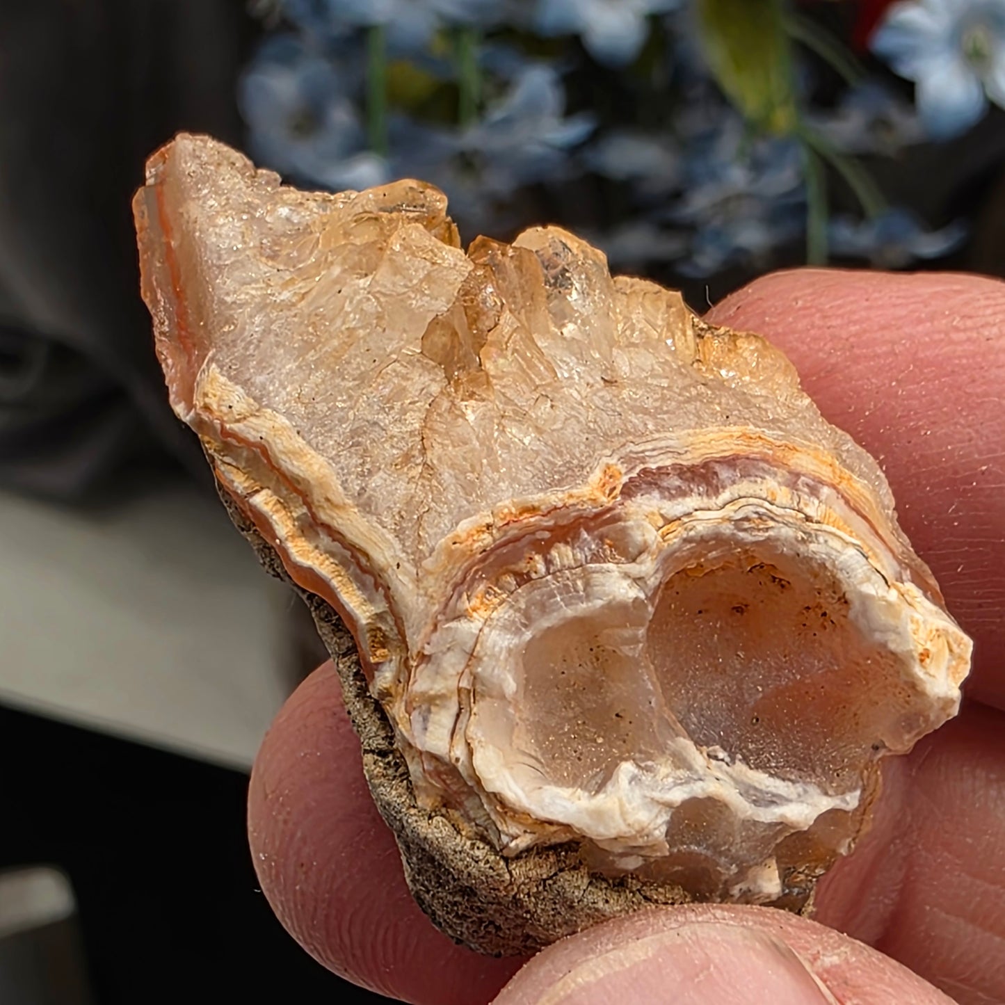 Agate with Quartz Crystal Specimen: Natural Mule Mountains, California Desert Rock (12.90 grams)