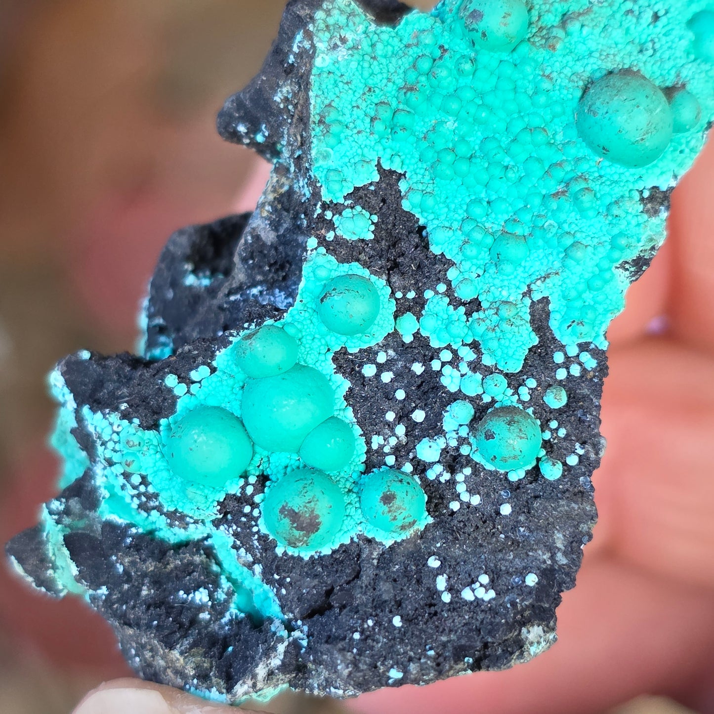 Beautiful Botryoidal Chrysocolla Copper Ore Rock Specimen | Planet Mine | Arizona | Natural Raw Stone