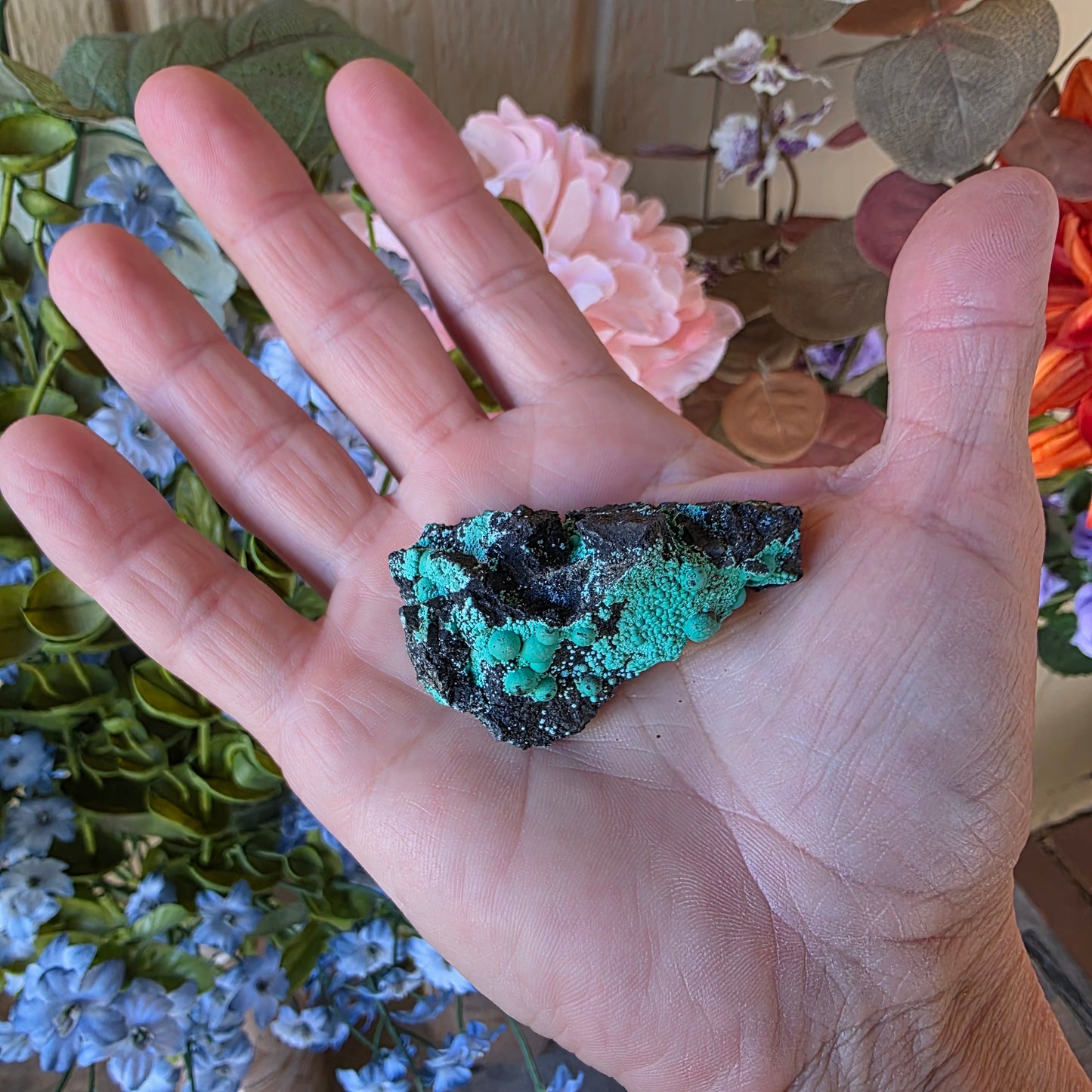 Beautiful Botryoidal Chrysocolla Copper Ore Rock Specimen | Planet Mine | Arizona | Natural Raw Stone