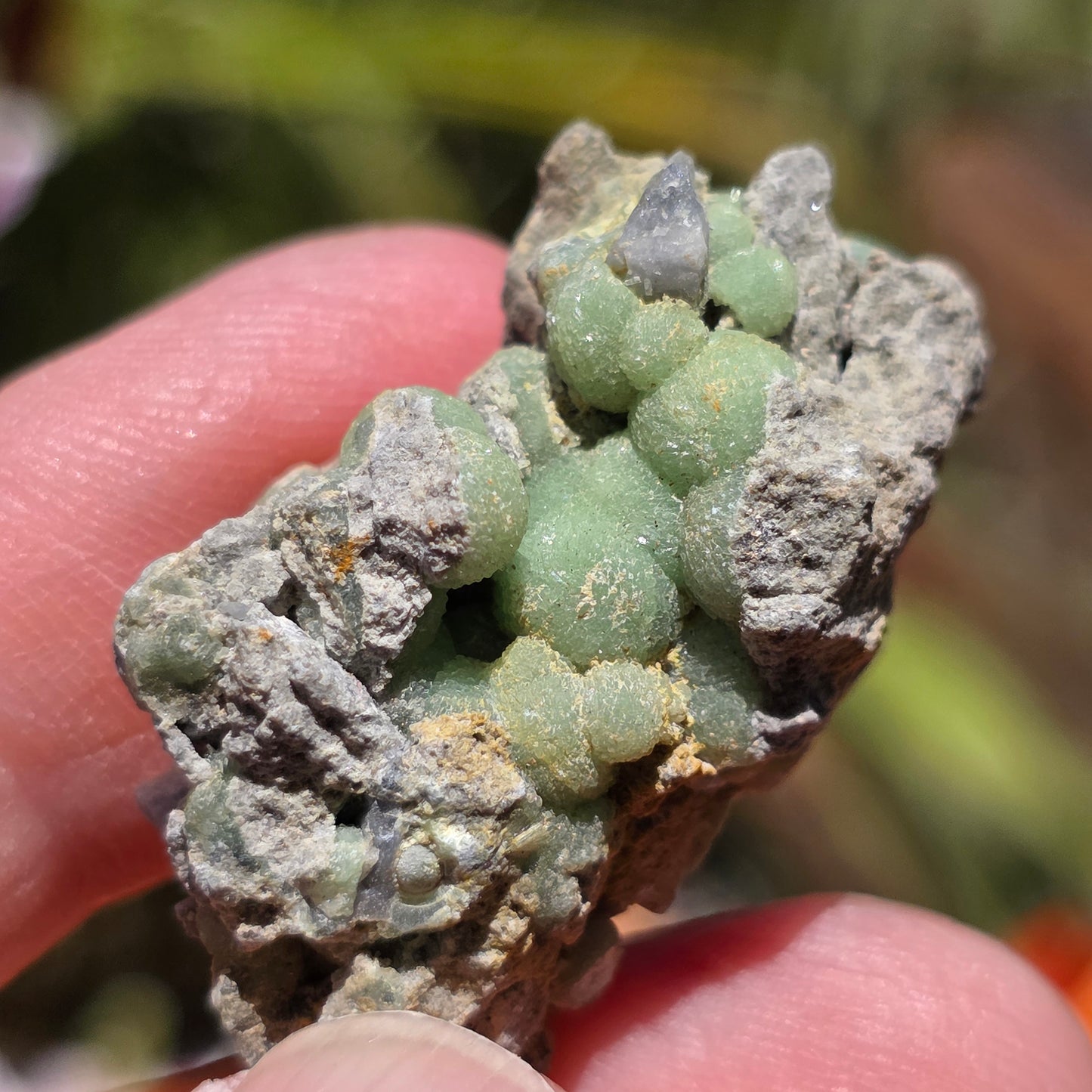Green Wavellite Rock Specimen | Mt. Ida, Arkansas | Raw Stone