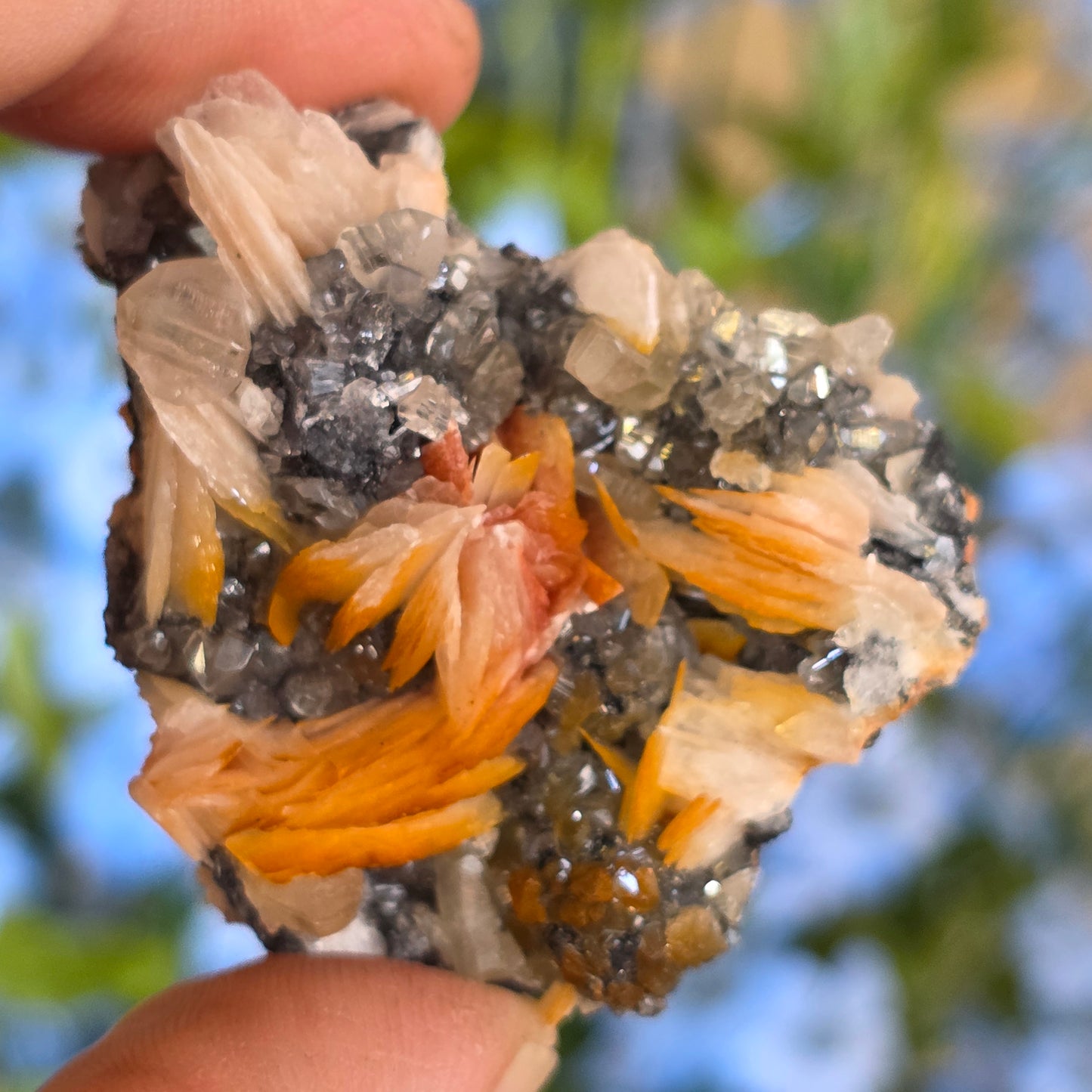 Captivating Cerussite Rock Specimen | with Pink Barite & Galena | UV Reactive Glowing Mineral | Natural Raw Stone | 49 g