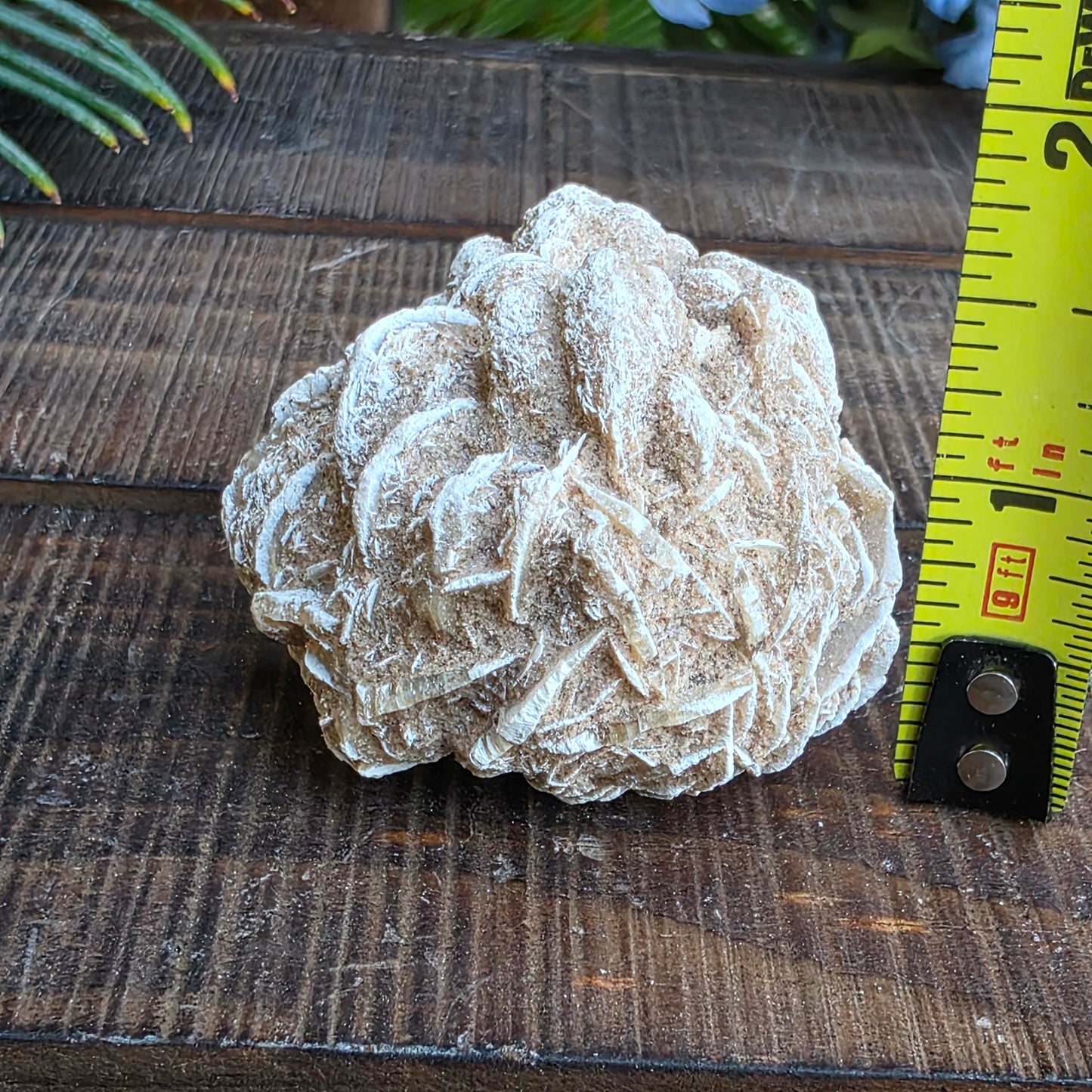 Desert Rose Gypsum Cluster Rock Specimen | Raw Natural Crystal Mineral