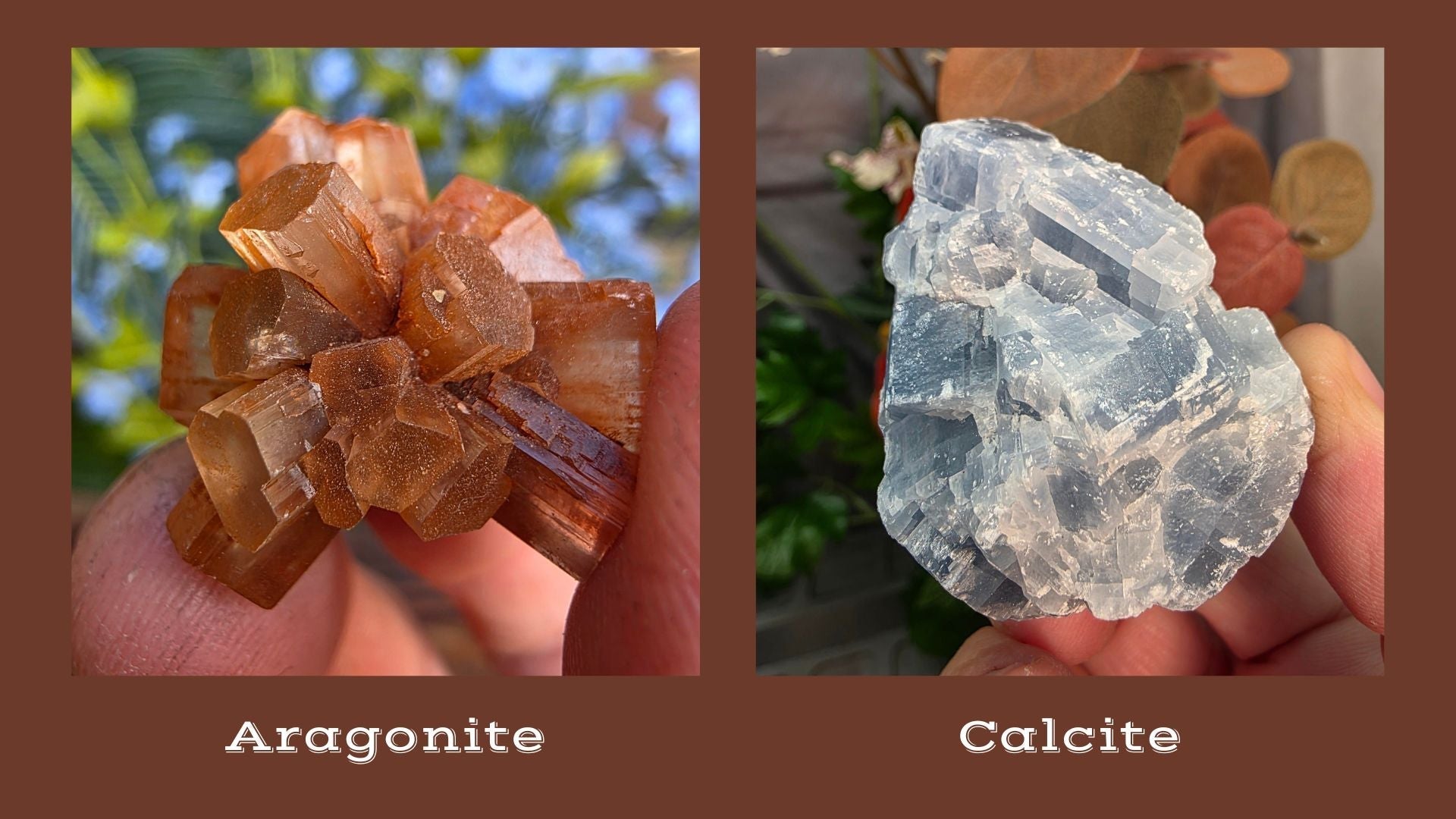 Calcium Carbonate Explained. From Calcite and Aragonite Rock Specimens ...