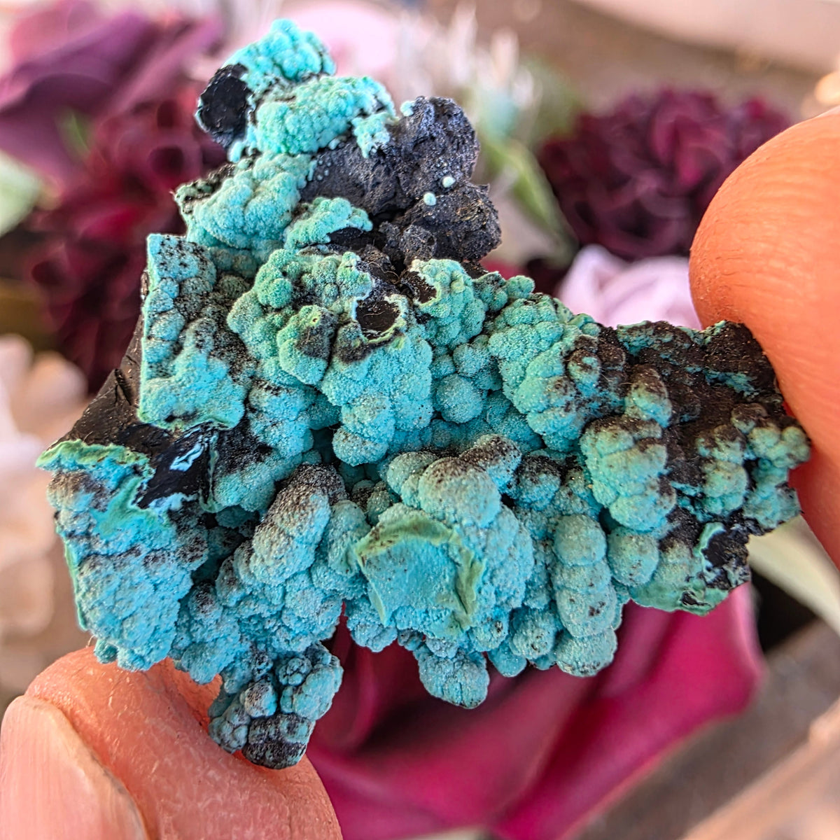 Arizona Minerals – Locally Mined Specimens