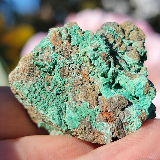 Botryoidal Malachite Rock Specimen | Light Green Copper Ore Mineral | Jerome, Arizona | Raw Stone | 31.20g