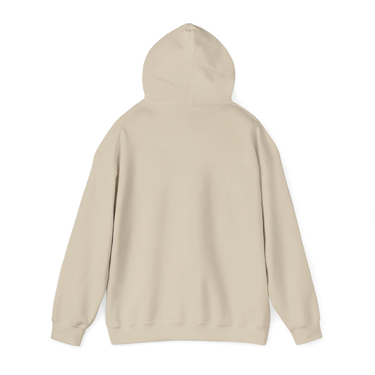 Color Block Icon Rockhound Hoodie Camping Adventure Unisex Hooded Sweatshirt