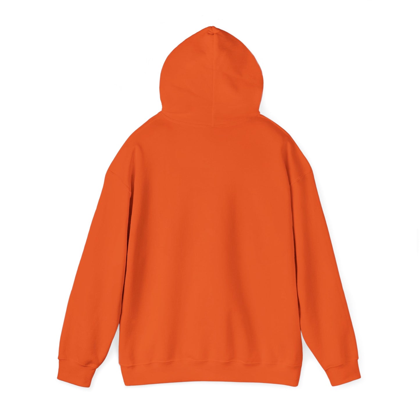 Let's Get Lost Unisex Hoodie Adventure Sweatshirt for Nature Lovers Rockhounds