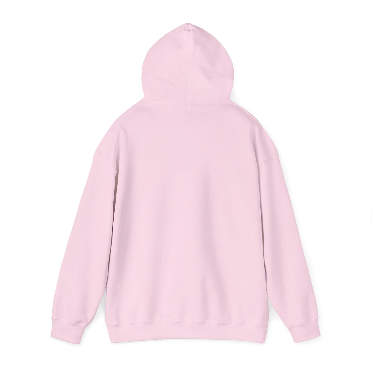 Color Block Icon Rockhound Hoodie Camping Adventure Unisex Hooded Sweatshirt
