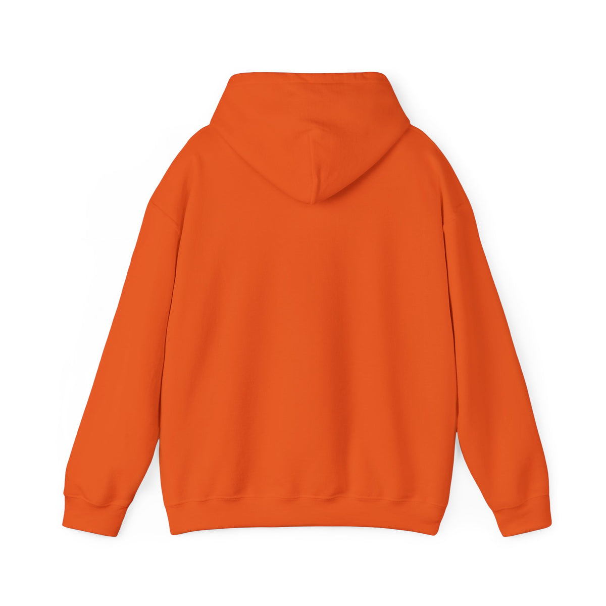 Let's Get Lost Unisex Hoodie Adventure Sweatshirt for Nature Lovers Rockhounds