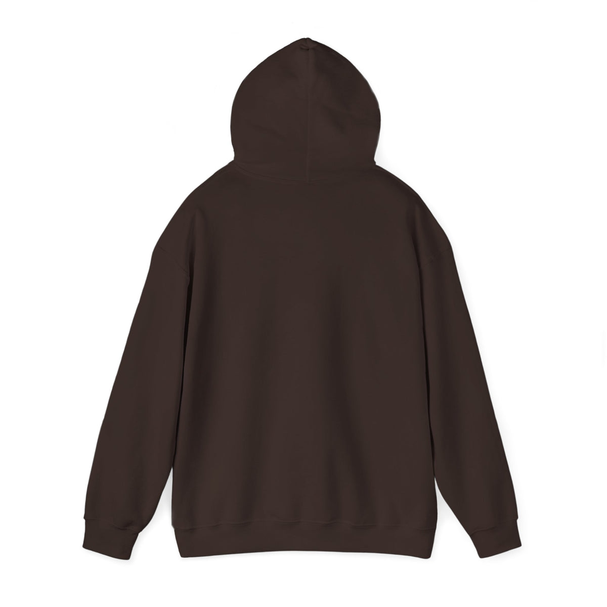 Color Block Icon Rockhound Hoodie Camping Adventure Unisex Hooded Sweatshirt