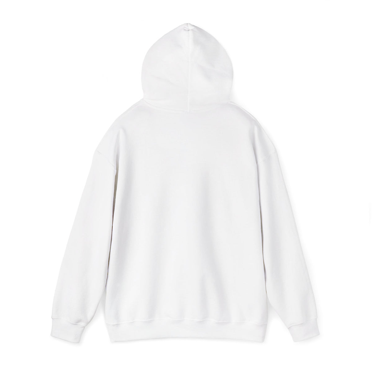 Color Block Icon Rockhound Hoodie Camping Adventure Unisex Hooded Sweatshirt