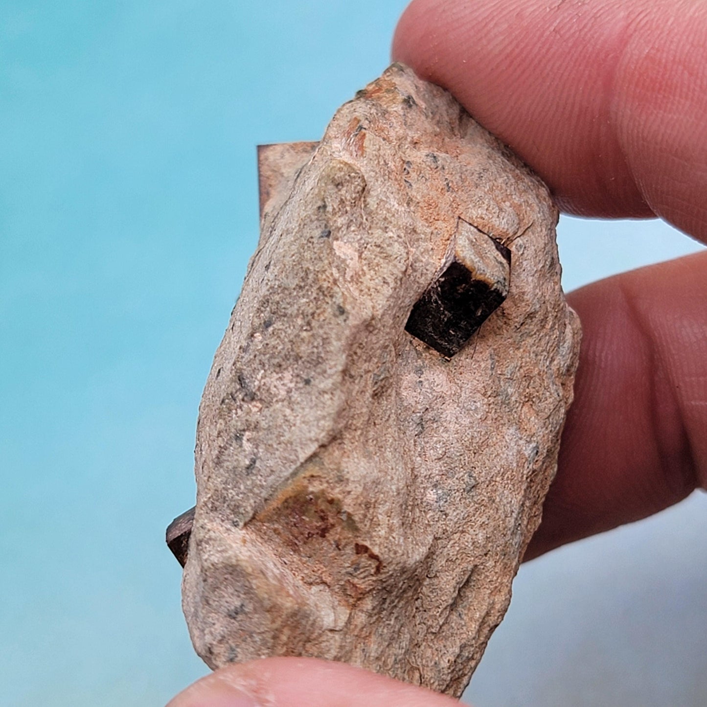 Limonite after Pyrite Cubes on Matrix from the Harquahala Mountains, Arizona | Pseudomorph Rock Specimen | 25.17g | Raw Stone | Geology Gift