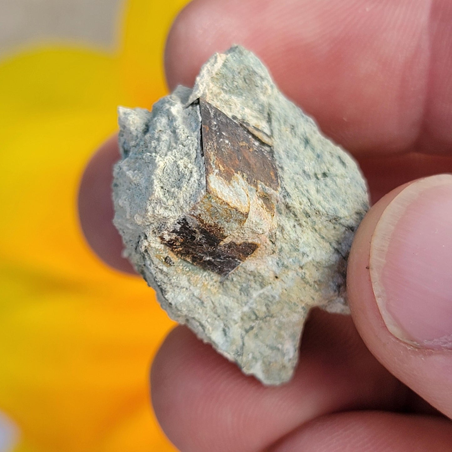 Natural Cubic Limonite after Pyrite Pseudomorph Crystals on Matrix, Wholesale Lot of 9 Pieces, 117 g Total