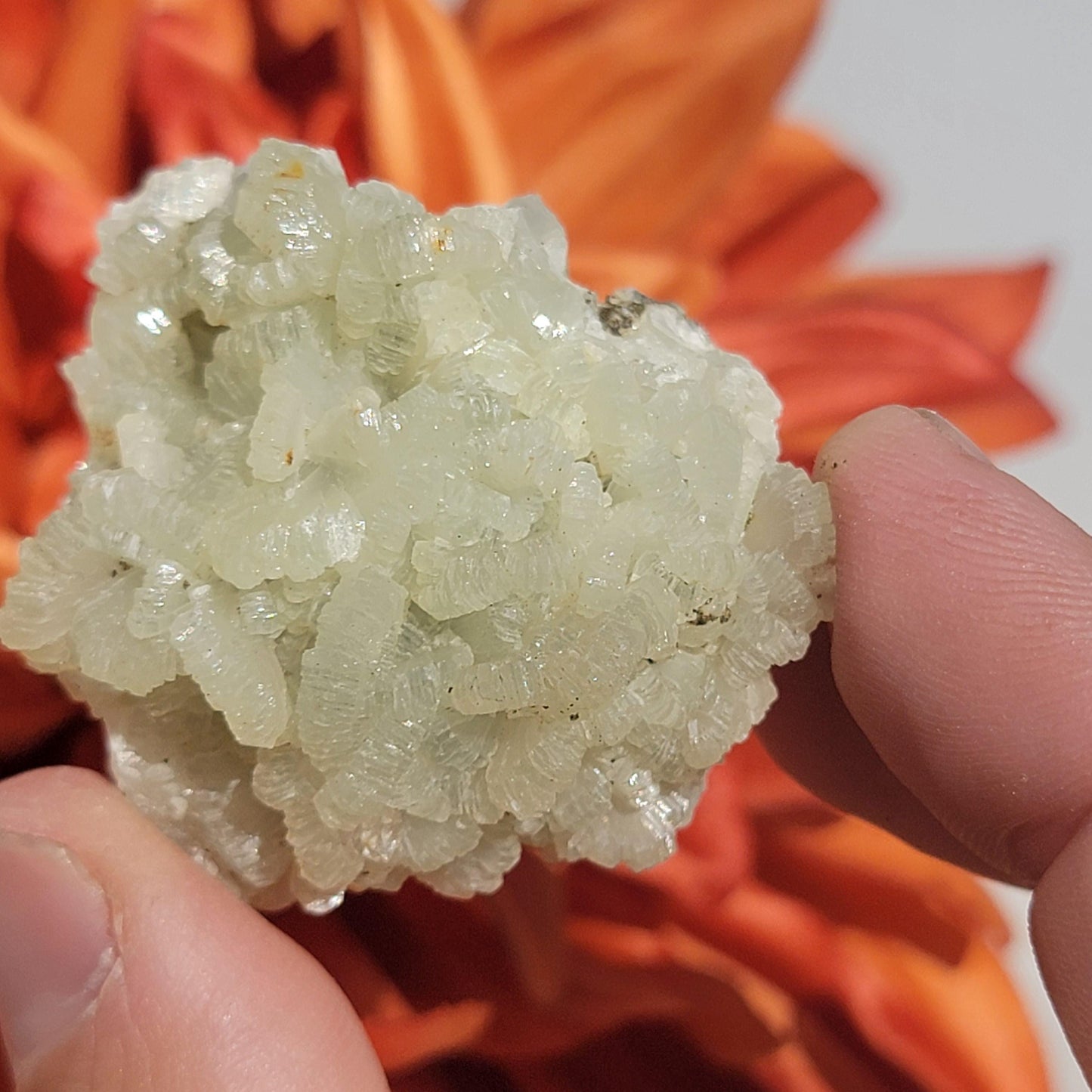 Rough Prehnite Mineral Specimens from Boulemane, Imilchil, Morocco - Wholesale Lot 9 Pieces, 439 Grams, Dark Green and Light Green Crystals