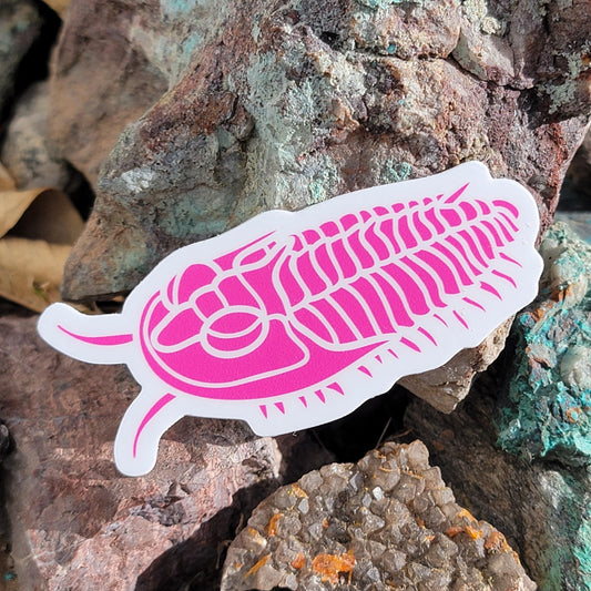 Trilobite Sticker | Neon Pink | Fossil Sticker for Phone Case, Coffee Mug, or Laptop