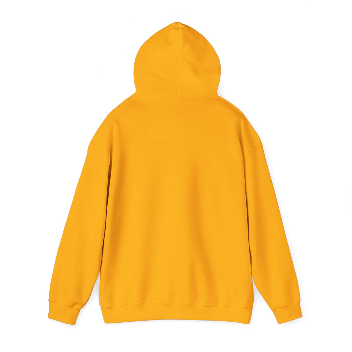 Let's Get Lost Unisex Hoodie Adventure Sweatshirt for Nature Lovers Rockhounds