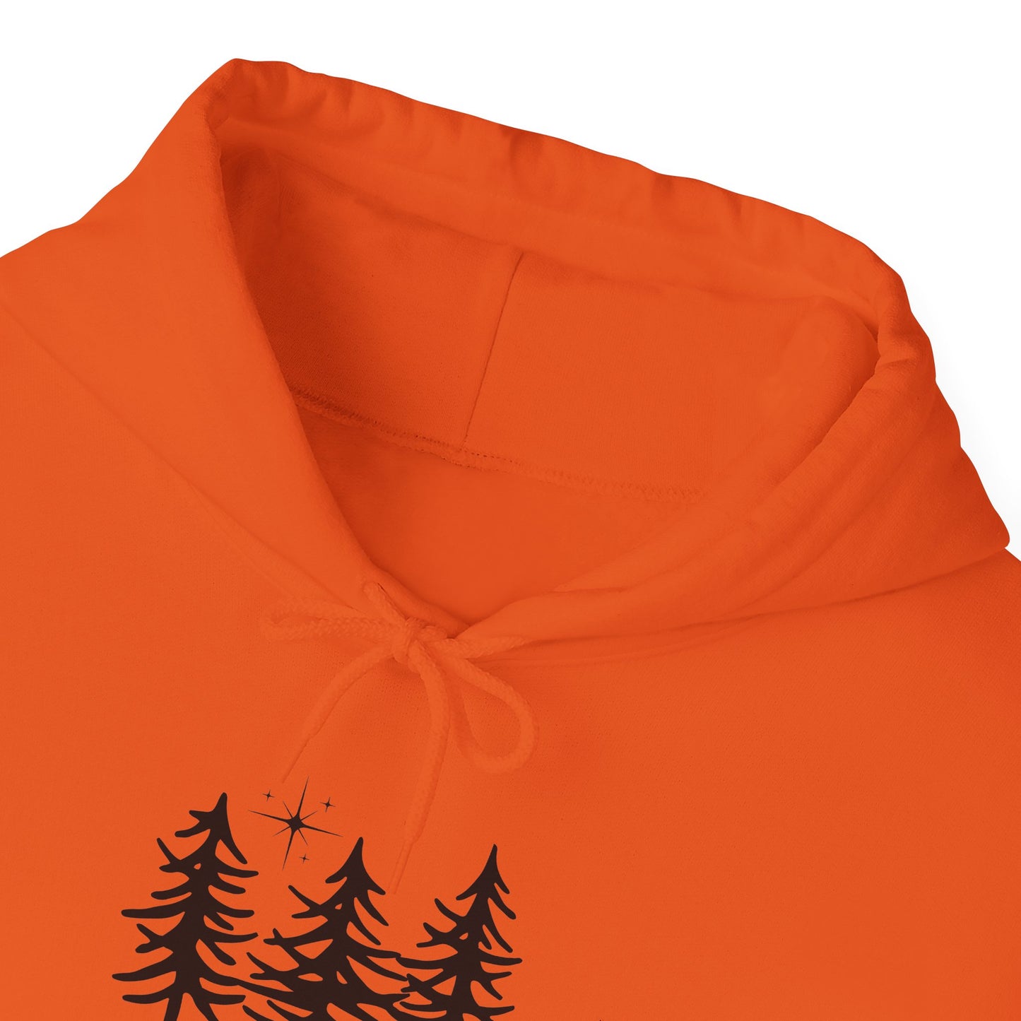 Let's Get Lost Unisex Hoodie Adventure Sweatshirt for Nature Lovers Rockhounds