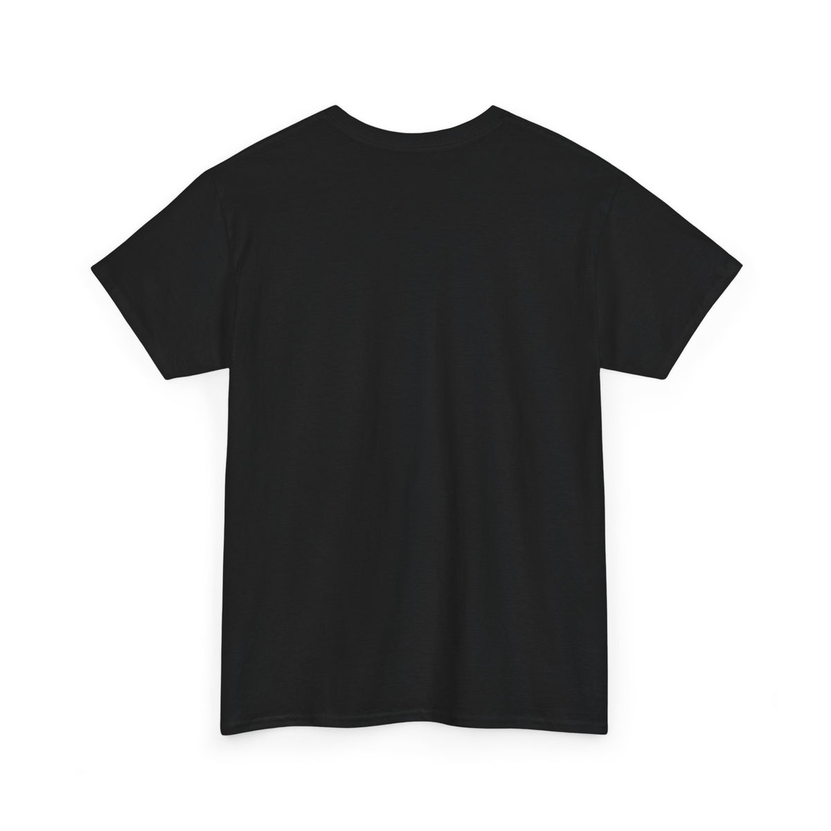 Color Block Icon Rockhound Camping Adventure Unisex Tee