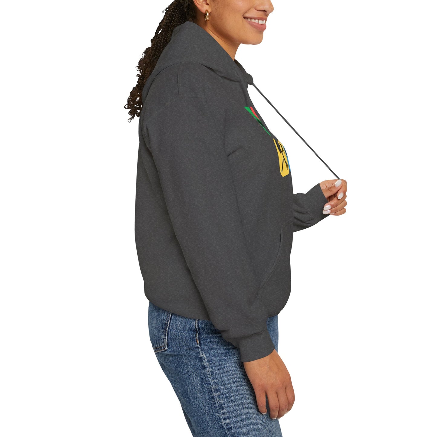 Color Block Icon Rockhound Hoodie Camping Adventure Unisex Hooded Sweatshirt